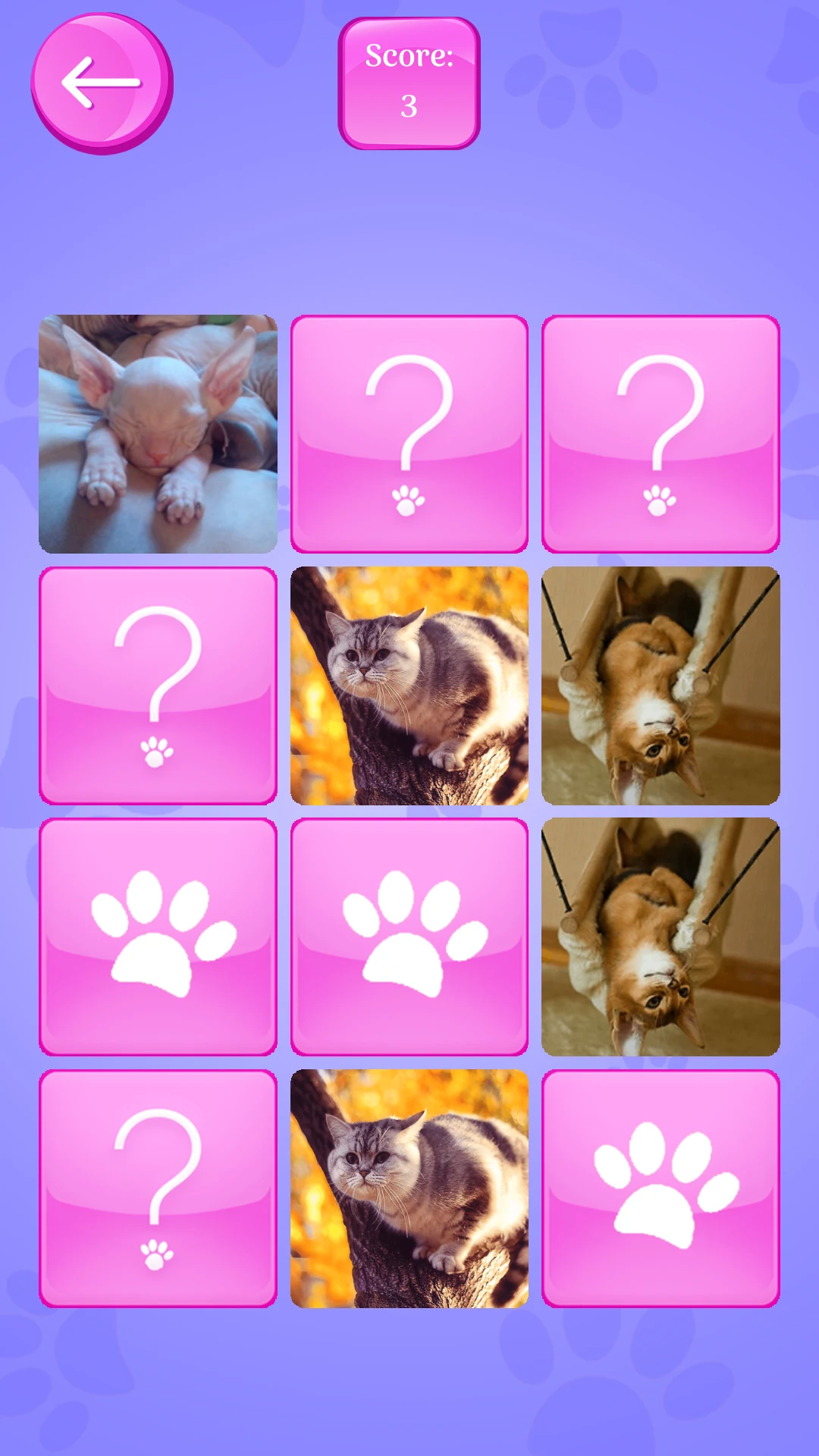 Cute Cats Memory Matching Game screenshot