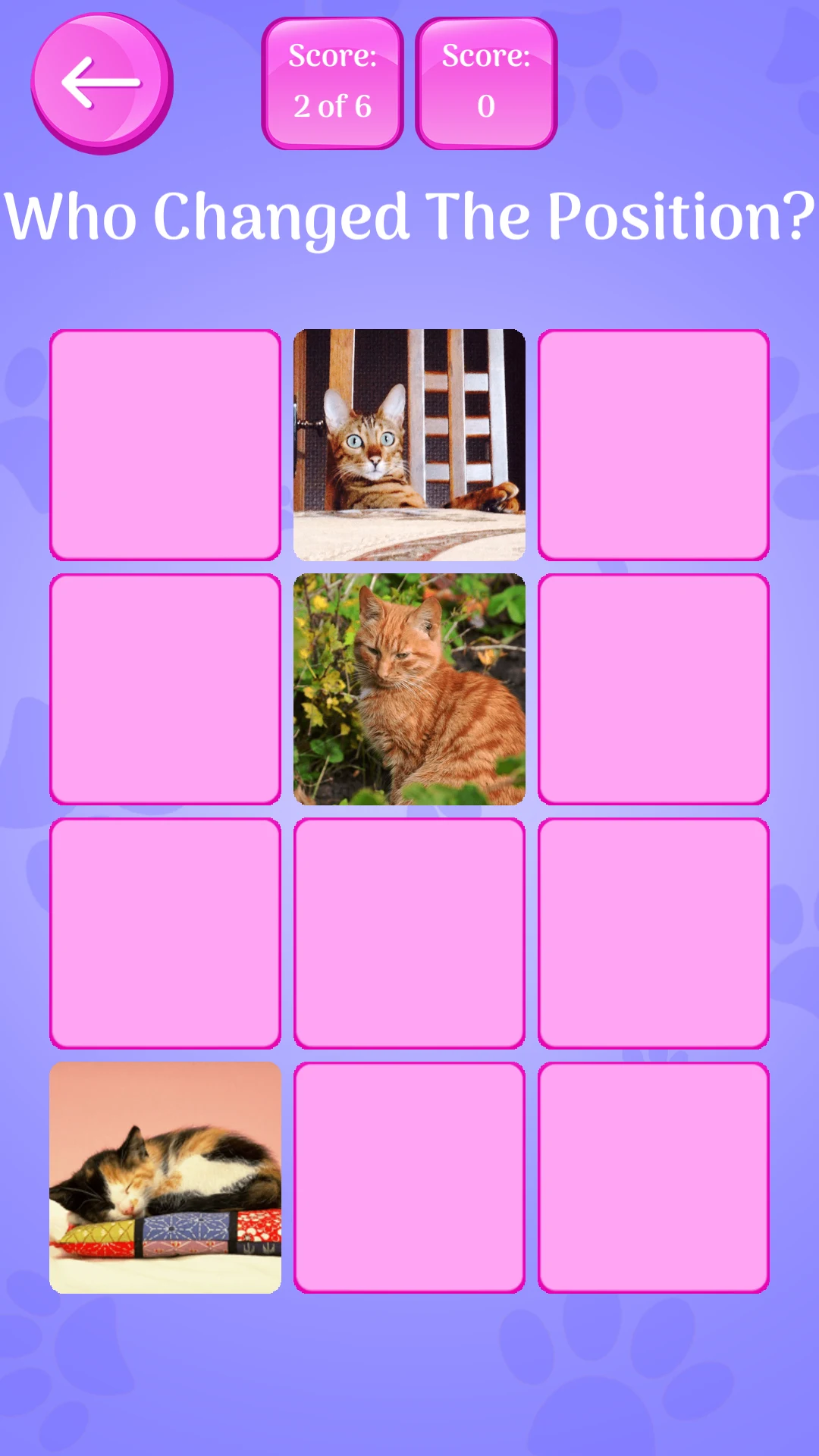 Cute Cats Memory Matching Game screenshot